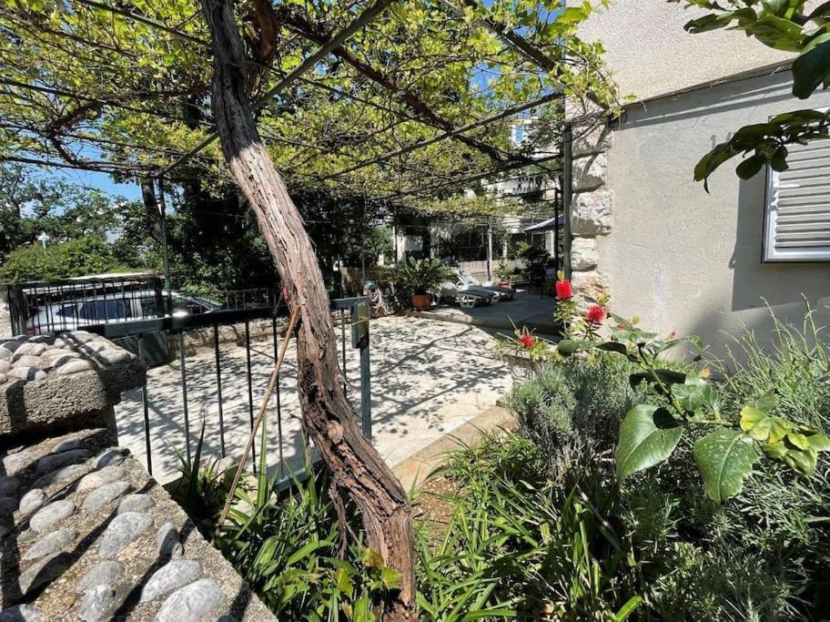 Apartment Nono Moj Dubrovnik Eksteriør bilde